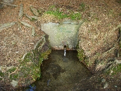 Pramen u rybníka Tovaryš
